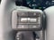 2026 Hyundai PALISADE HYBRID Blue SEL 8 Passenger