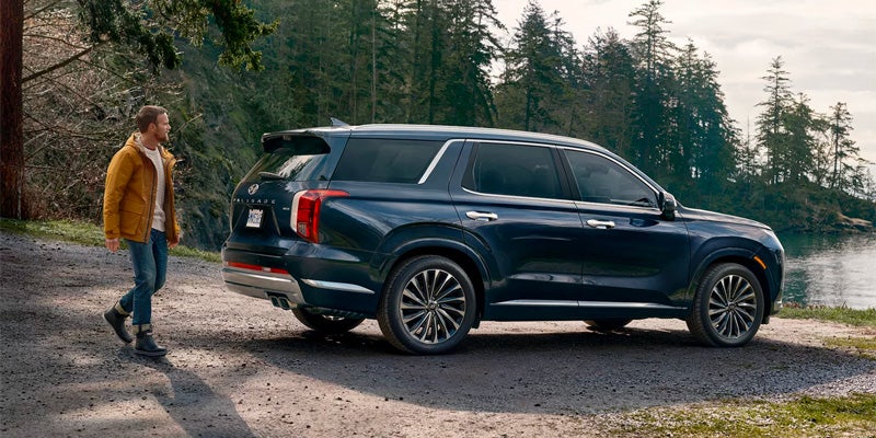 Man in a yellow jacket walking towards a dark blue Hyundai Palisade parked by a lake and evergreen trees.