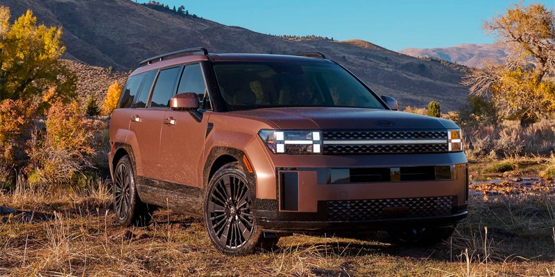 Copper-colored SUV parked on dry grass with golden autumn trees and hazy mountains in the background.