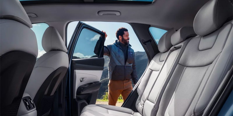 View from car's back seat of man in a puffy vest opening door to a mountainous landscape.